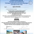 Powiększ obraz: certificate 11