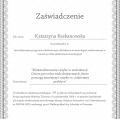 Powiększ obraz: certificate 3