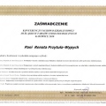 Powiększ obraz: certificate 77