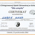 Powiększ obraz: certificate 9