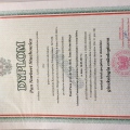 Powiększ obraz: certificate 1