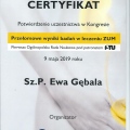 Powiększ obraz: certificate 43