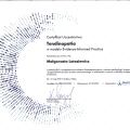Powiększ obraz: certificate 8