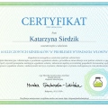 Powiększ obraz: certificate 28