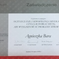 Powiększ obraz: certificate 2