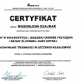 Powiększ obraz: certificate 15