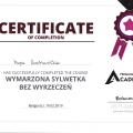 Powiększ obraz: certificate 6