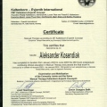 Powiększ obraz: certificate 12