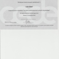 Powiększ obraz: certificate 31