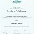 Powiększ obraz: certificate 16