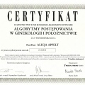 Powiększ obraz: certificate 8
