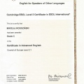 Powiększ obraz: certificate 29