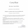 Powiększ obraz: certificate 31