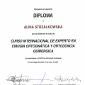 Powiększ obraz: certificate 2
