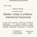 Powiększ obraz: certificate 5