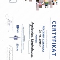 Powiększ obraz: certificate 1