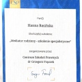 Powiększ obraz: certificate 8