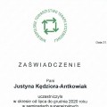 Powiększ obraz: certificate 2
