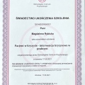 Powiększ obraz: certificate 2