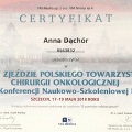 Powiększ obraz: certificate 29
