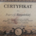 Powiększ obraz: certificate 5