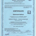 Powiększ obraz: certificate 4