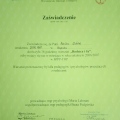 Powiększ obraz: certificate 1