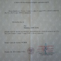 Powiększ obraz: certificate 6