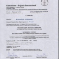 Powiększ obraz: certificate 11