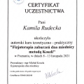 Powiększ obraz: certificate 37