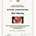 Powiększ obraz: certificate 4