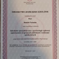Powiększ obraz: certificate 36
