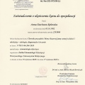 Powiększ obraz: certificate 13