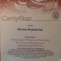 Powiększ obraz: certificate 31