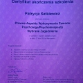 Powiększ obraz: certificate 4