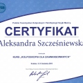 Powiększ obraz: certificate 8