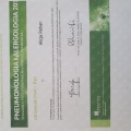 Powiększ obraz: certificate 8