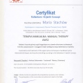Powiększ obraz: certificate 13