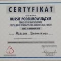 Powiększ obraz: certificate 4