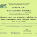 Powiększ obraz: certificate 4