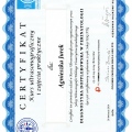 Powiększ obraz: certificate 19
