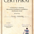 Powiększ obraz: certificate 11