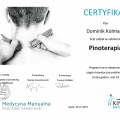 Powiększ obraz: certificate 11