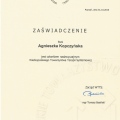 Powiększ obraz: certificate 2