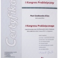 Powiększ obraz: certificate 5