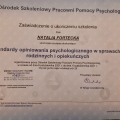 Powiększ obraz: certificate 35