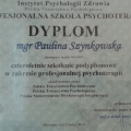 Powiększ obraz: certificate 1