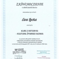 Powiększ obraz: certificate 12