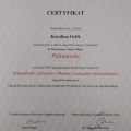 Powiększ obraz: certificate 11