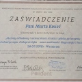 Powiększ obraz: certificate 3